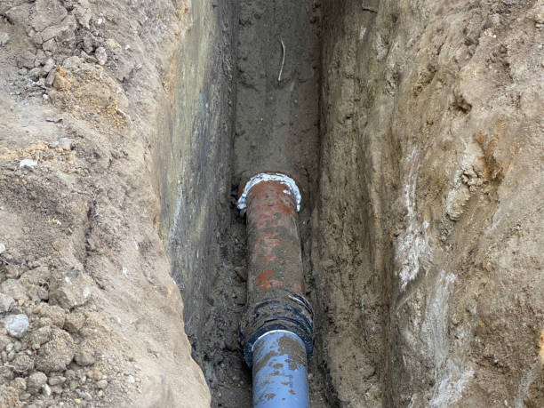 Best Sewage cleanup and water damage restoration  in Aledo, IL