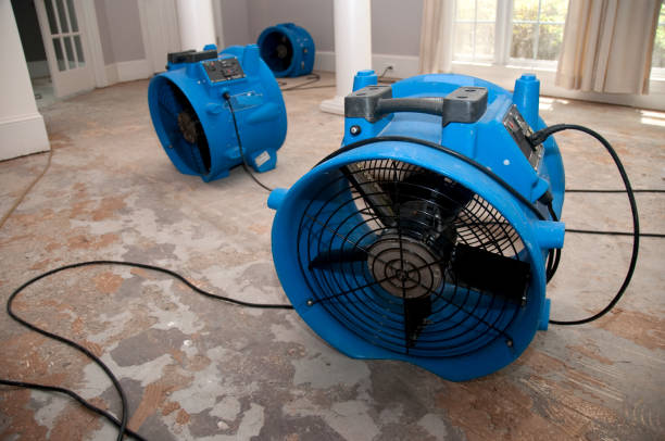 Best Professional water damage repair  in Aledo, IL