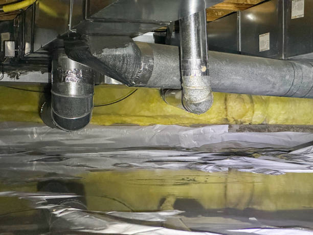 Best Mold removal after water damage  in Aledo, IL