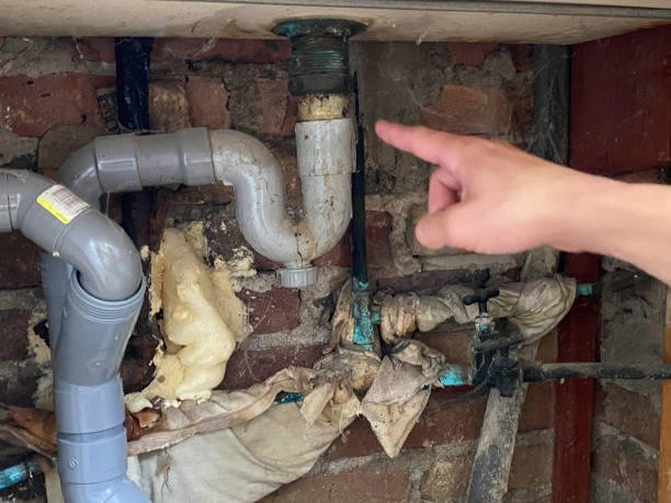 Best Water damage restoration experts  in Aledo, IL