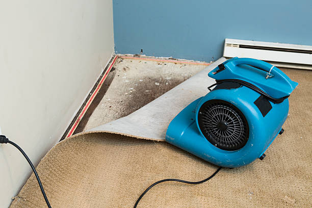 Best Flood restoration services  in Aledo, IL